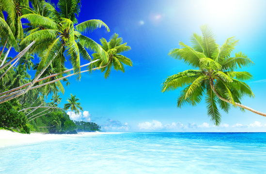 Project image placeholder